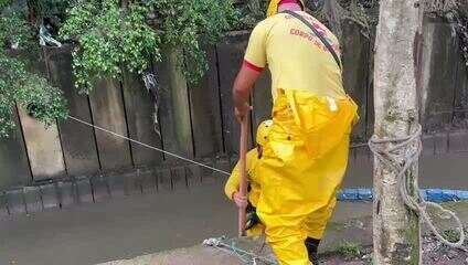 Bombeiros retomam buscas por casal levado por enxurrada. Vídeo: Alessandra Ferreira/ CBN
