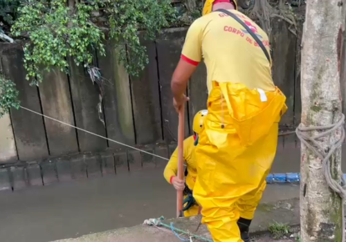 Corpo de idoso arrastado por enxurrada em São Paulo é encontrado; veja as buscas