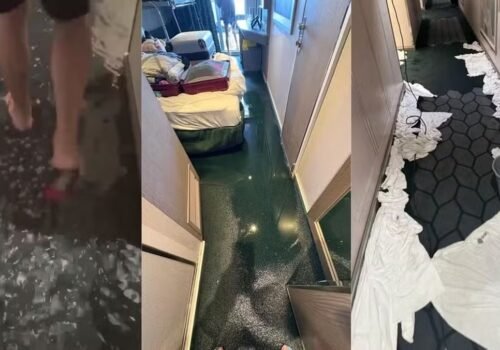 Inundação dentro de cruzeiro em alto-mar assusta passageiros no Nordeste