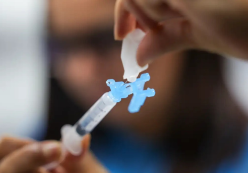 Vacinação contra dengue deve começar no segundo semestre em todo Brasil