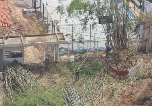MP indica embargo de obras no terreno do antigo Colégio Bennet, no Rio, após corte de árvores centenárias