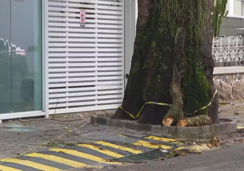 Temporal no RJ: mulher morre atingida por galho de árvore em Niterói; menino recebe descarga elétrica em Duque de Caxias