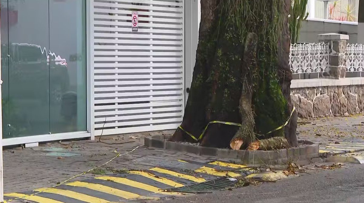 Temporal no RJ: mulher morre atingida por galho de árvore em Niterói; menino recebe descarga elétrica em Duque de Caxias