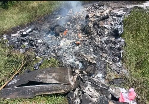 Polícia Civil e Cenipa investigam queda de avião em área de mata em Rio Claro, no Sul Fluminense