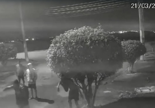 Capivara é agredida por oito homens no Rio e fica gravemente ferida