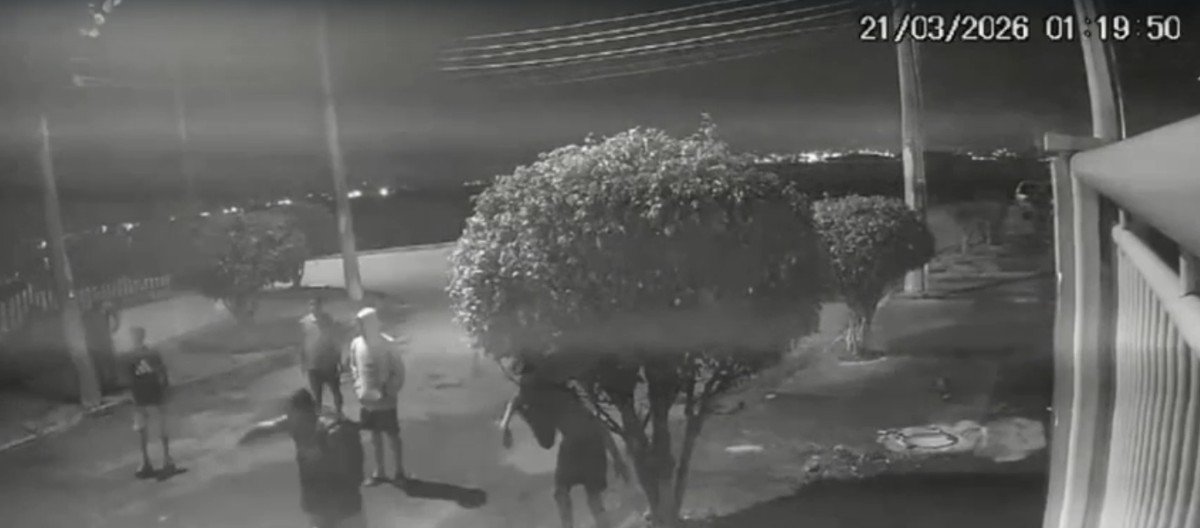 Capivara é agredida por oito homens no Rio e fica gravemente ferida