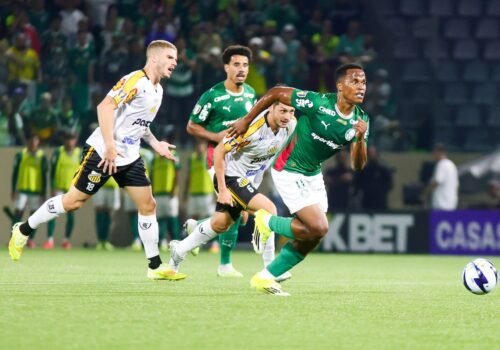 Novorizontino x Palmeiras: quando será jogo de volta da final? Saiba horário e onde assistir