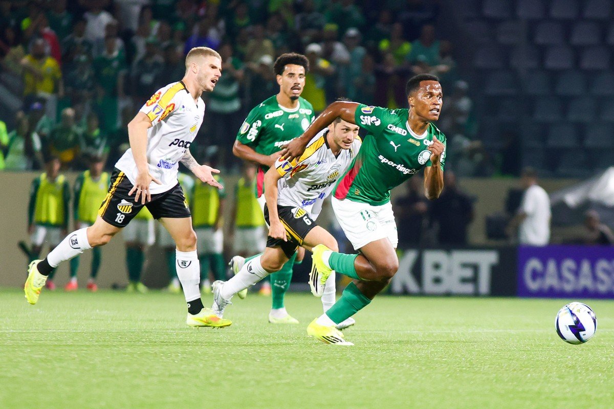 Novorizontino x Palmeiras: quando será jogo de volta da final? Saiba horário e onde assistir