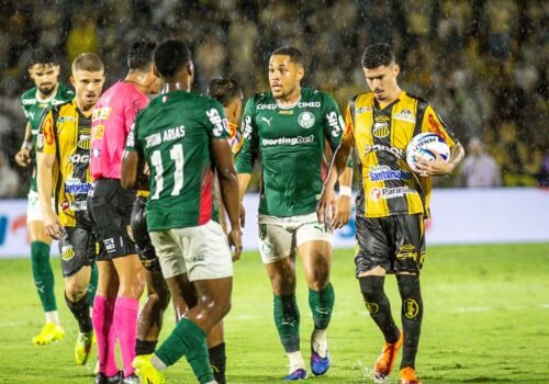 Palmeiras vence Novorizontino e conquista o Paulistão