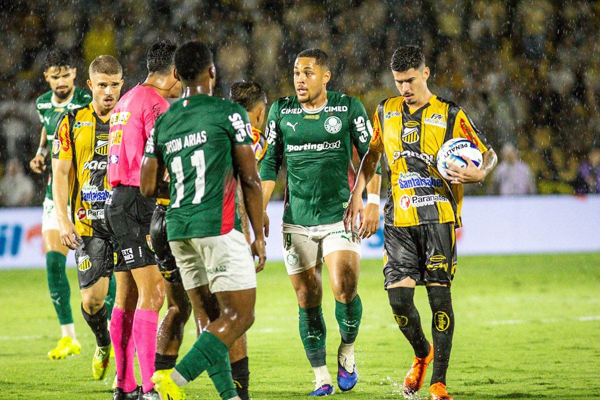 Palmeiras vence Novorizontino e conquista o Paulistão