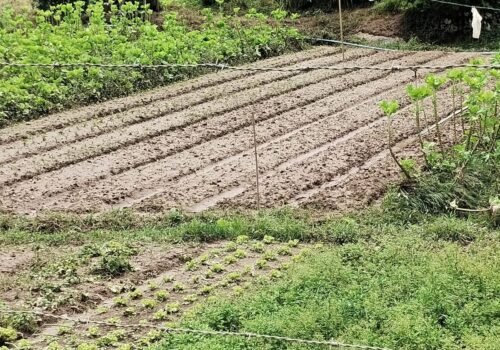 Enchentes provocam prejuízo de R$ 50 milhões na indústria moveleira de Ubá