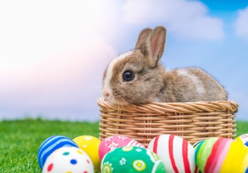 Agenda Cultural SP: programação do fim de semana inclui shows, exposições e atividades de Páscoa