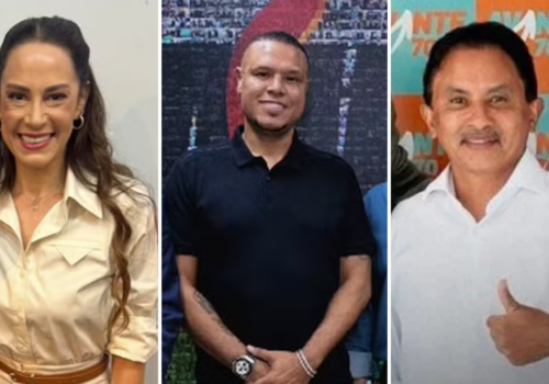 Silvia Abravanel, Luís Fabiano, Manoel Gomes e mais: partidos ampliam aposta em celebridades