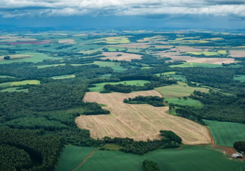 Desmatamento no Brasil fica abaixo de 1 milhão de hectares pela 1ª vez da série histórica