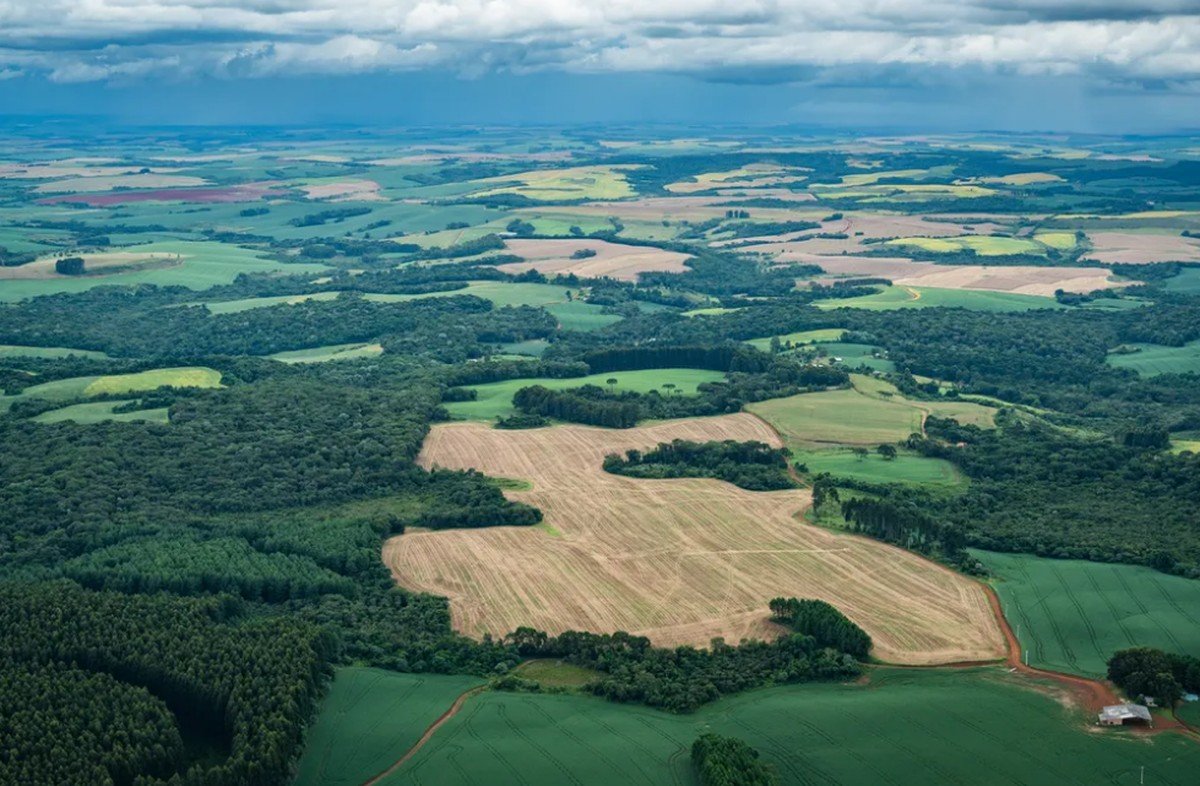 Desmatamento no Brasil fica abaixo de 1 milhão de hectares pela 1ª vez da série histórica