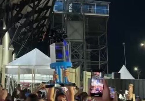 Boi Caprichoso é o campeão do 59º festival folclórico de Parintins