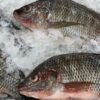 Setor de pescados do Brasil pode perder US$ 600 milhões com tarifaço dos EUA
