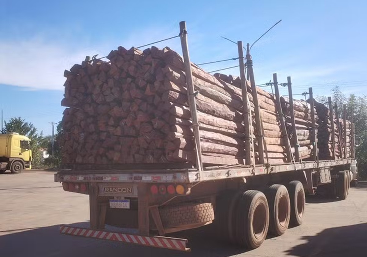 Receita apreende 260 toneladas de madeira com suspeita de ocultação de cocaína líquida