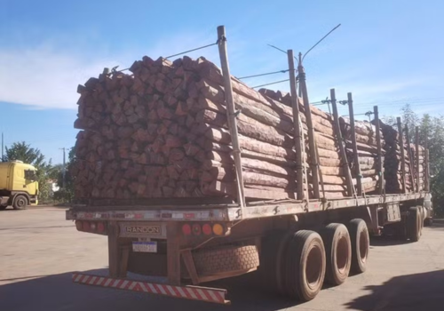 Receita apreende 260 toneladas de madeira com suspeita de ocultação de cocaína líquida