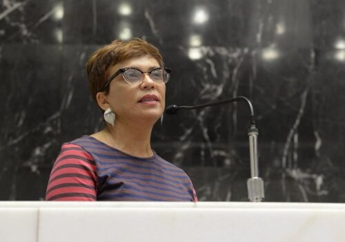 Marília Campos quer convencer Lula a aceitar frente ampla para disputa do governo em Minas Gerais