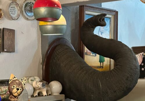 PF apreende tromba de elefante suspeita de comércio ilegal em antiquário no Rio