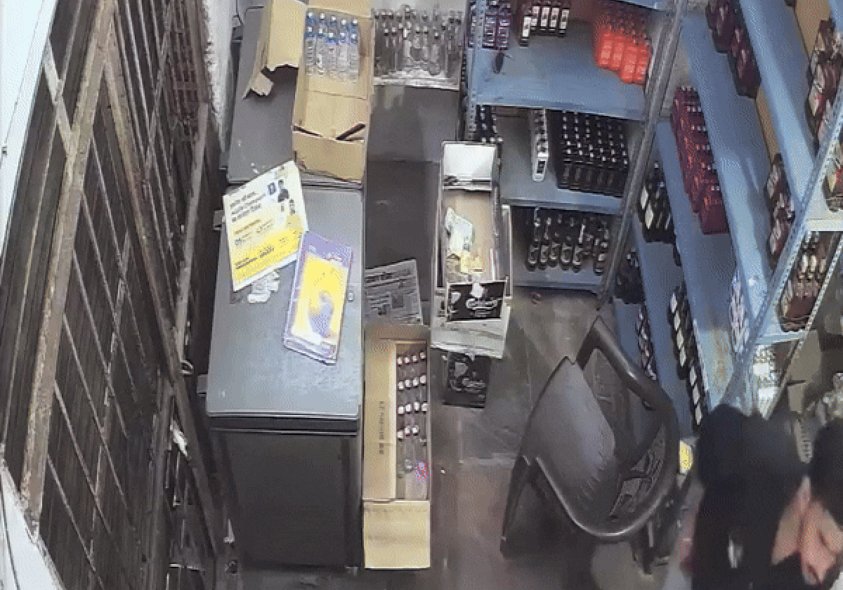 Leopardo invade depósito na Índia e fere dois funcionários; veja vídeo