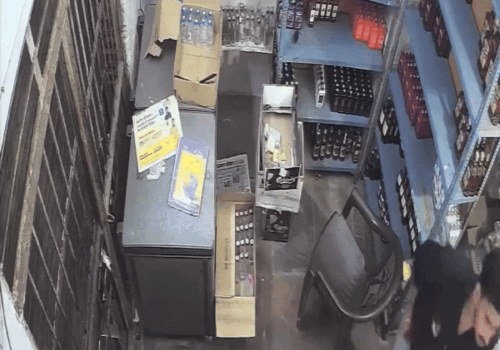 Leopardo invade depósito na Índia e fere dois funcionários; veja vídeo
