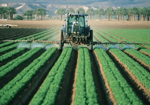 Governo lança Plano Safra com R$ 525 bilhões para médios e grandes produtores