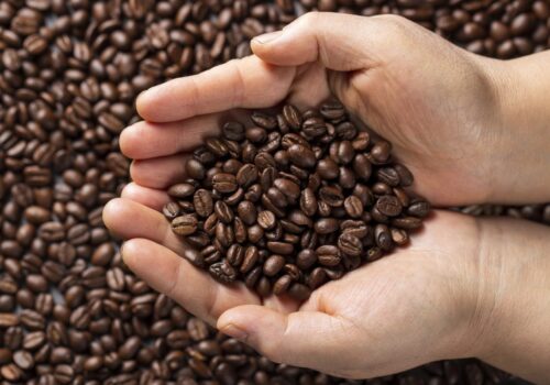 Carne e café não serão sobretaxados em novo tarifaço, diz representante comercial dos EUA