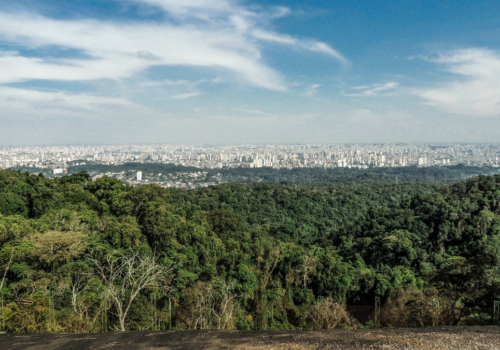 Urbia negocia devolver concessão dos parques estaduais da Cantareira e Horto Florestal em São Paulo