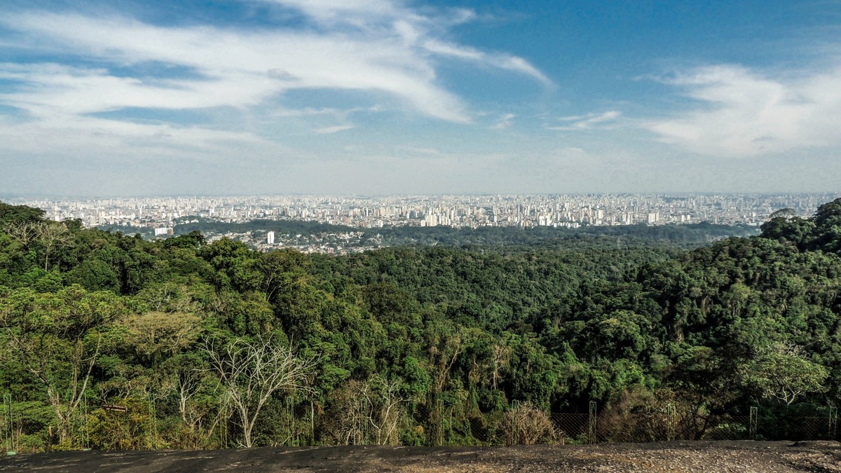 Urbia negocia devolver concessão dos parques estaduais da Cantareira e Horto Florestal em São Paulo