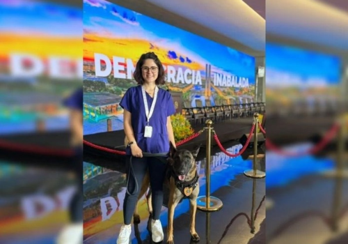 Morre médica veterinária de 36 anos atacada por cachorro do Senado Federal