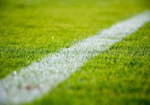Onde assistir a Bahia x Remo pela 27ª rodada do Campeonato Brasileiro e aos outros jogos internacionais desta segunda (14)