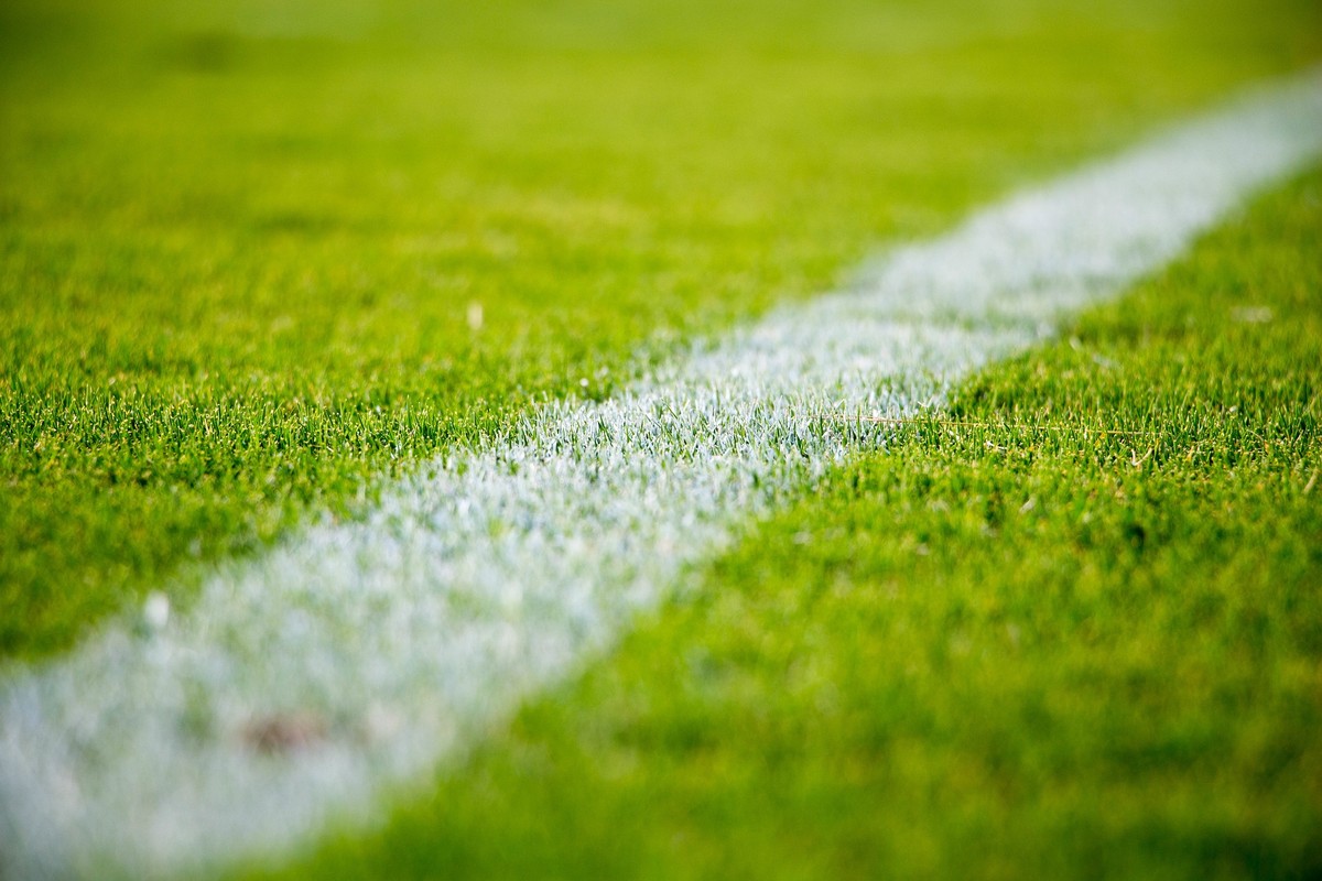 Onde assistir a Bahia x Remo pela 27ª rodada do Campeonato Brasileiro e aos outros jogos internacionais desta segunda (14)