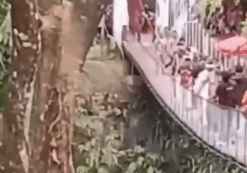 Ponte cai na Indonésia durante inauguração e deixa feridos; veja vídeo