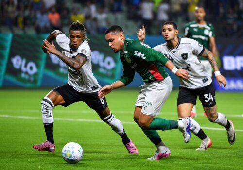 Onde assistir a Botafogo x Palmeiras pelo Brasileirão e outros jogos internacionais deste domingo (06)