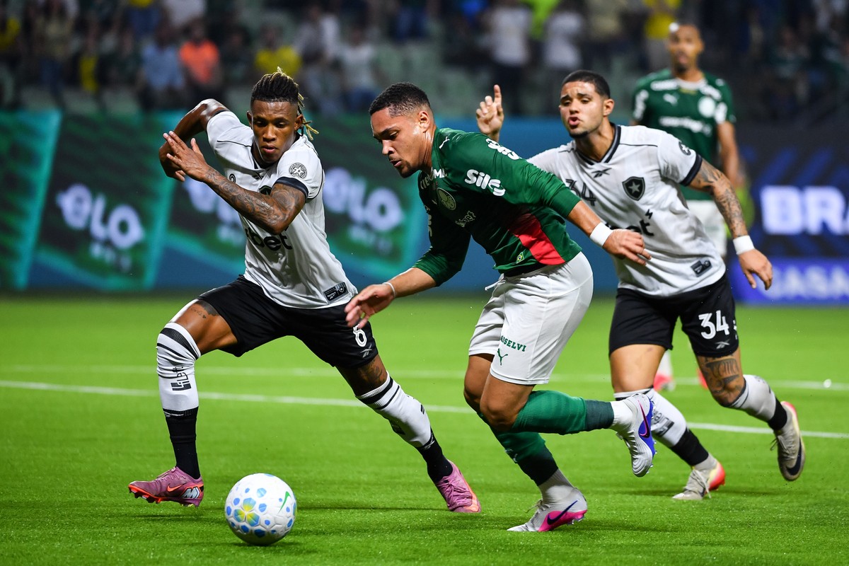 Onde assistir a Botafogo x Palmeiras pelo Brasileirão e outros jogos internacionais deste domingo (06)