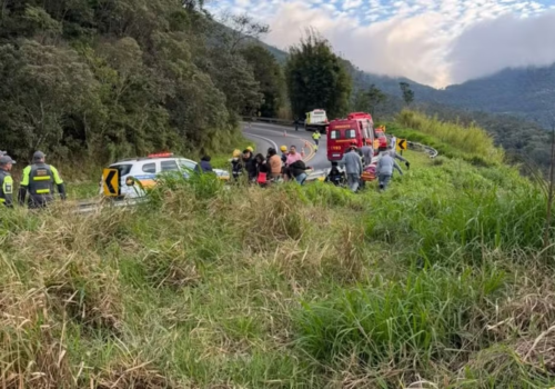Seis pessoas morrem após ônibus cair em ribanceira em Cruzeiro (SP)
