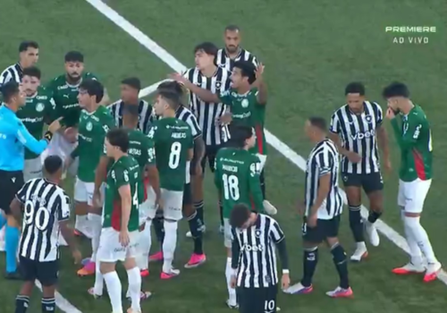 Palmeiras empata com o Botafogo e perde a liderança do Brasileirão