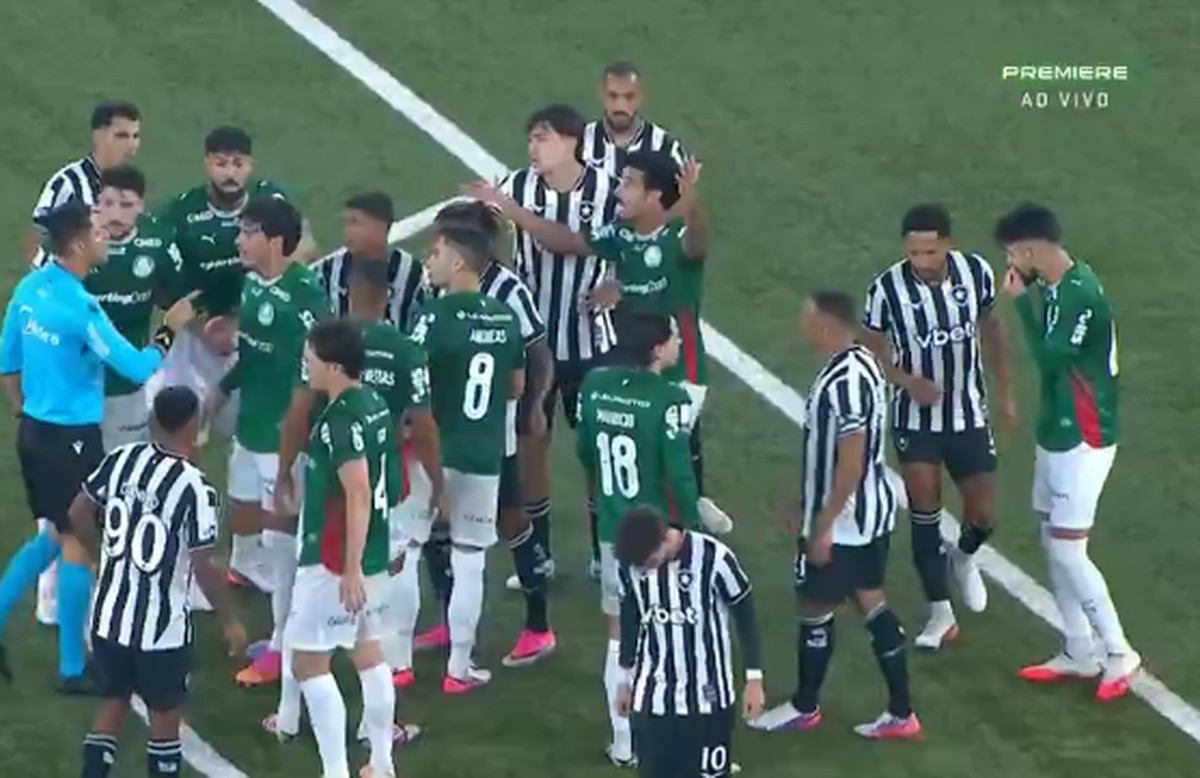 Palmeiras empata com o Botafogo e perde a liderança do Brasileirão