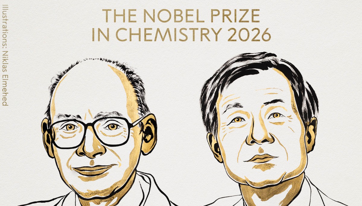 Nobel de Química vai para dupla por descoberta de efeitos não lineares e autocatálise na síntese orgânica