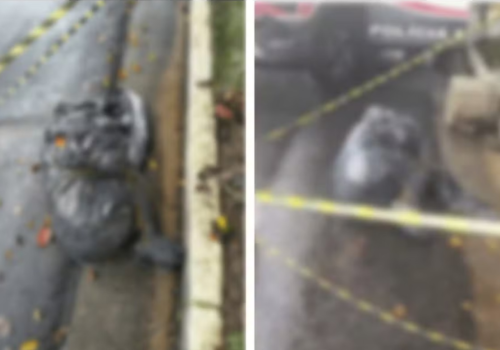 Polícia de SP descarta assassino em série após nove suspeitas de execução na capital