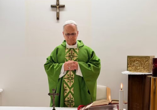 Papa Leão XIV tem 'melhora constante' após cirurgia de retirada de câncer; Vaticano divulga imagens